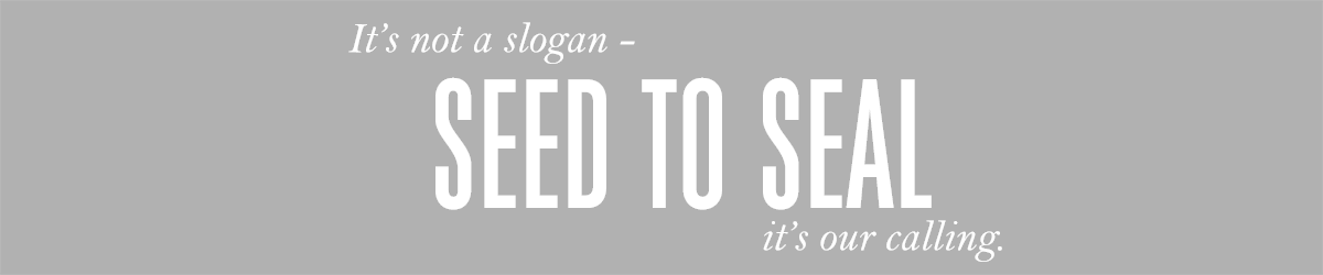 section slider image