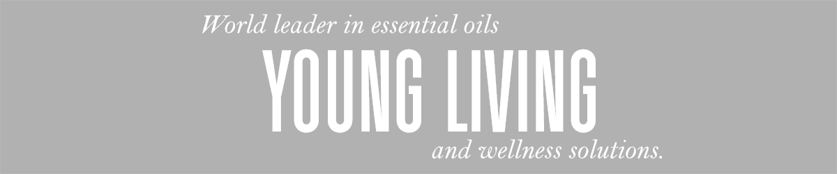 section slider image